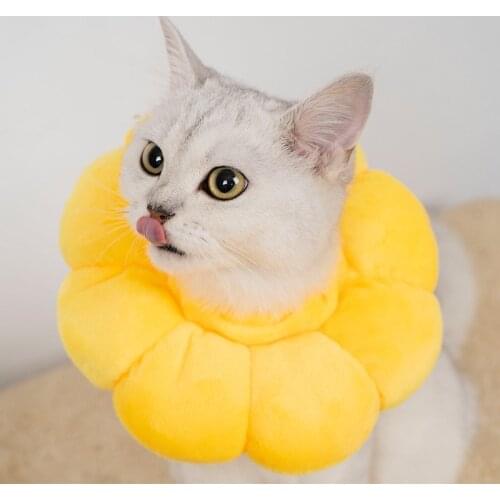 Pet Elizabeth Circle Cat Wound Healing Medical Anti Bite Sunflower Collar Dogs Accessoires