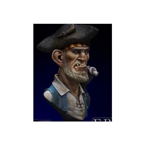 1/16 Scale Resin Bust Pirate Figure Kit Free Shipping