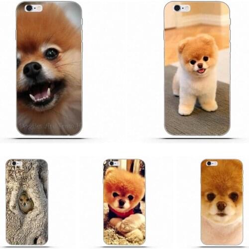 Xperia E5 Wexoeq China