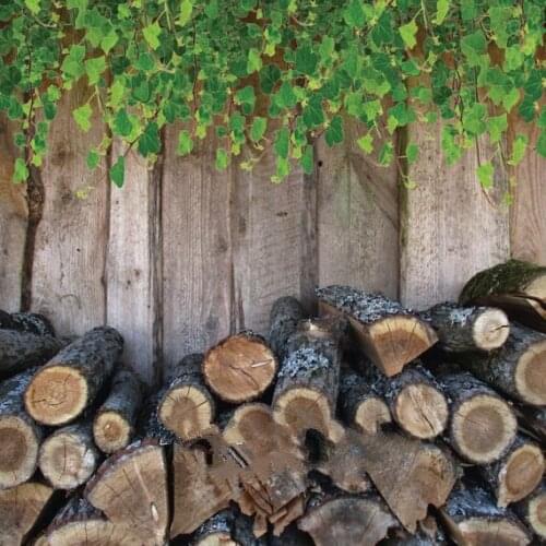 Firewood Stack Country Rural Farmhouse Leaves Wood Lumberjack backdrop Computer print children kids background