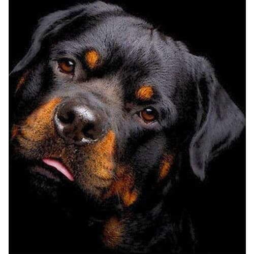 LIPHISFUN 5D DIY Diamond Painting Full Square/round Drill Diamond Embroidery Sale Cross Stitch Dog Animal Christmas Gift