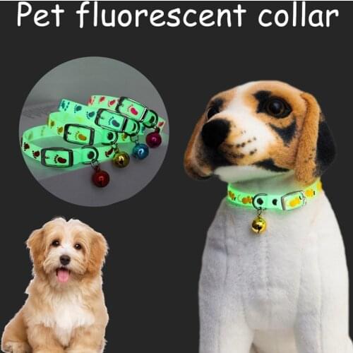 Night Fluorescent silicone Cat bell Collar Luminous Dog Collar Glow-in-the-Dark Anti-Loss pets collar for small and medium pets
