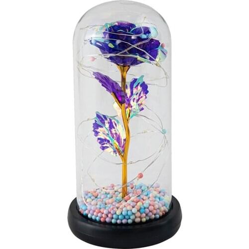 Flower with LED Light in Glass for Christmas Valentines Day Mothers Day Gifts for Girlfriend Wife Women