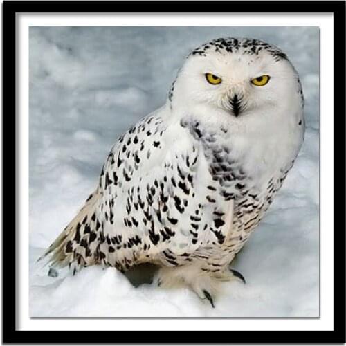 Full Square/Round Drill 5D DIY Diamond Painting "Snow owl" 3D Embroidery Cross Stitch Decor Gift A00829