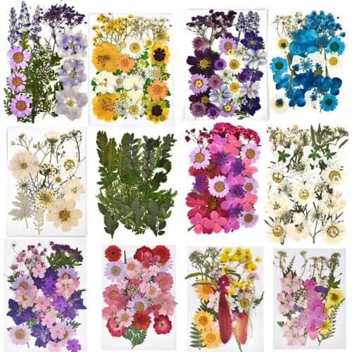 1 Pack Real Dried Flower Dry Plants For DIY Candle Epoxy Resin Pendant Necklace Jewelry Making Craft Nail Art Decoration