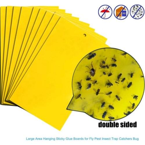 5/3/1Pcs Strong Flies Traps Bugs Sticky Catching Aphid Insects Pest Killer Outdoor Fly Board Bait Flies Double Traps Yellow