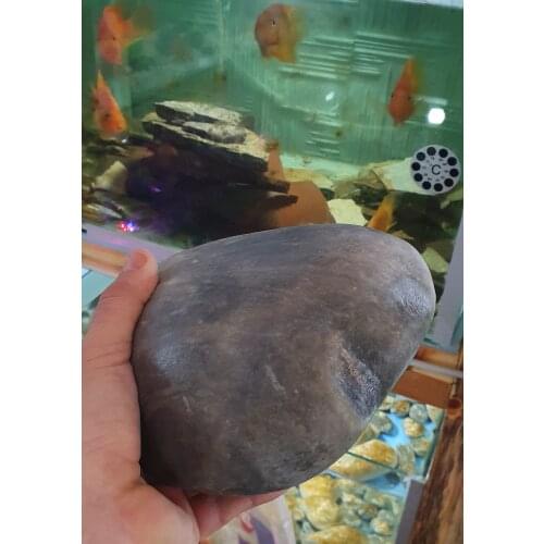 Oval big stone for aquarium or terrarium very decorative and clear 1 pcs