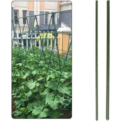 60cm Garden Plant Support Stakes Climbing Stand Flower Planting Stick Cane Gardening Tools Courtyard Decoration