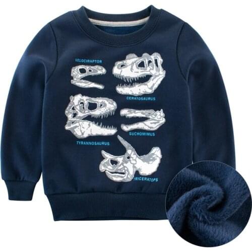 Wholesale winter kids Cotton sweatshirt boys girl print 3D dinosaur Monster Casual tops spring toddler clothes Children clothing