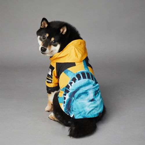 Waterproof Pets Clothing Rain Coat Designer Dog Clothes Print Puppy Jacket for Large Dogs Fashion French Bulldog Costumes 2021