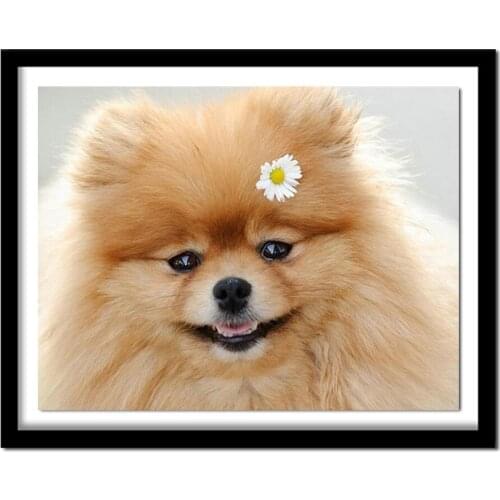 5d Diy Diamond Painting pomeranian Full Diamond Embroidery cute dog 3d Cross Stitch Rhinestone Painting home Decoration
