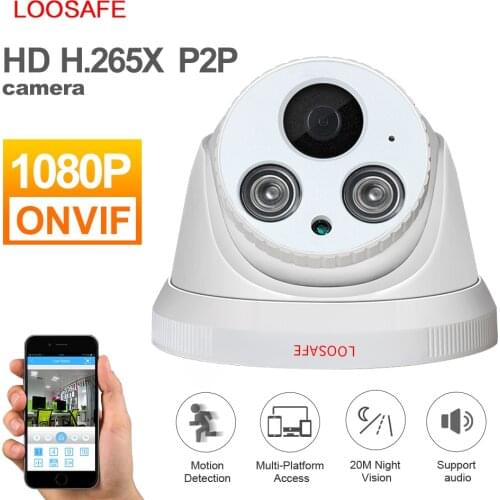 Loosafe CCTV Dome Cameras