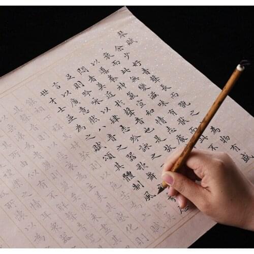 10sheets Wen Zhengming Small Regular Script Copybooks Beginner Chinese Brush Calligraphy Golden Spots Xuan Paper Copybooks