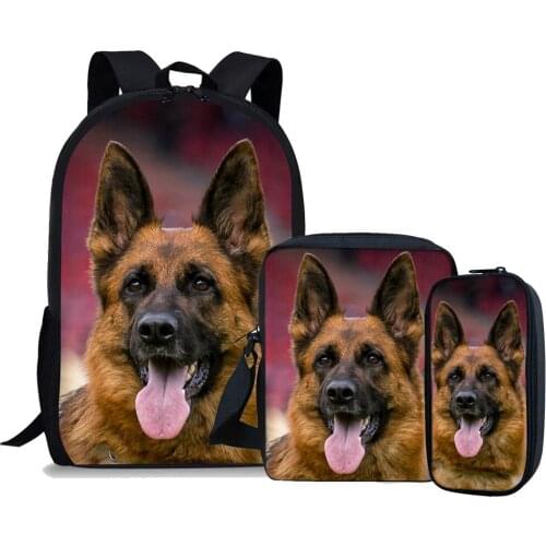 3pcs Dog Raccoon Tiger Wolf Student School Backpack Cartoon Print School Bag Set Small Laptop Backpack For Teenager Boy Book Bag