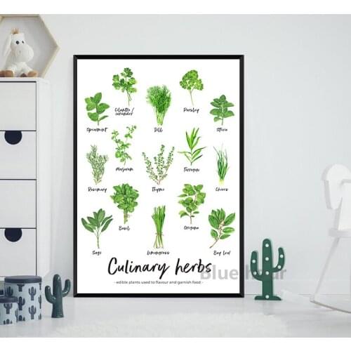 Culinary Herbs Watercolor Painting Kinder Nature Study Homeschool Educational Canvas Poster Botanical Chart Art Print Kids Decor