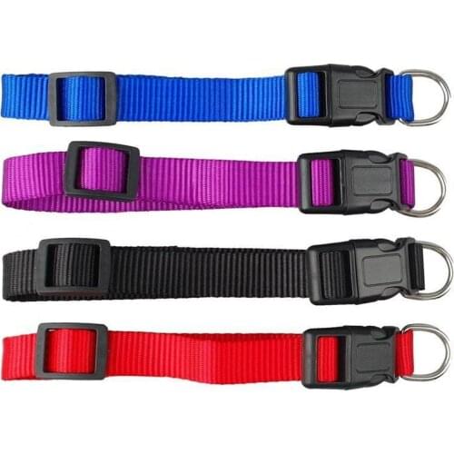 Nylon Adjustable Ribbon Dog Cat Collar Pet Collar Small Medium-Sized Cat Dog Chihuahua Red Black Blue Purple Dogs Accessories