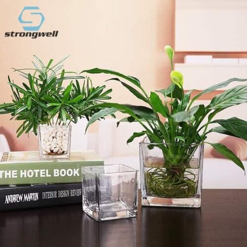 Cubic Glass Flower Pots Home Decoration Accessories Simple Hydroponics High Quality Green Plants Potted Decoration