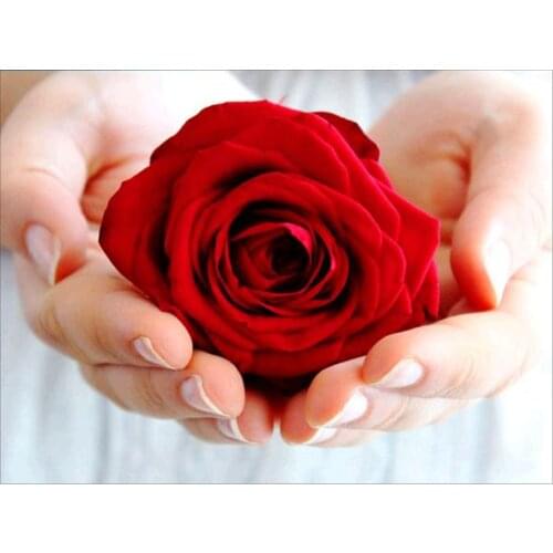 Rose Vase Flower Basket DIY Cross Stitch 11CT Embroidery Kits Craft Needlework Set Cotton Thread Printed Canvas Home Design