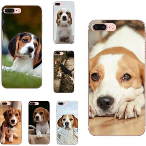 Xperia XA1 Wexoeq China