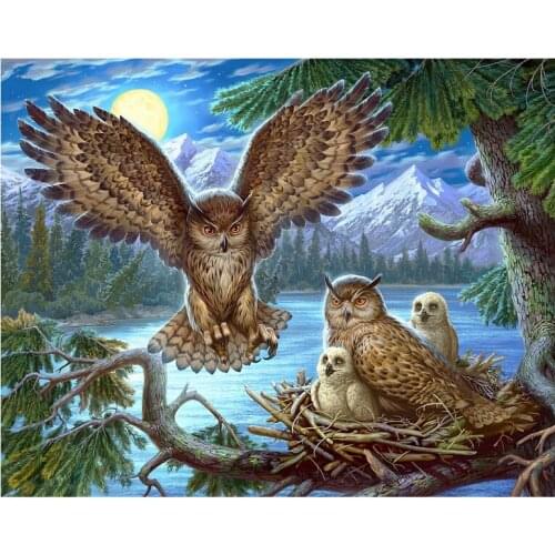 5d diy Diamond embroidery owl diamond painting Cross Stitch Birds full square/round drill Rhinestone mosaic decoration new