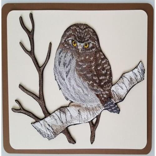 2020 New Arrival Embroidery Northern Pygmy Owl Cross Stitch Gifts with 14CT Aida Counted Canvas & Free Shipping for Home Decor