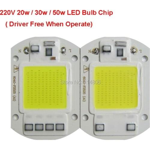 LED COB Bulb Lamp 20W 30W 50W LED Chip 220V ~ 240V Input IP65 Smart IC Fit For DIY LED Flood Light Cold White Warm White