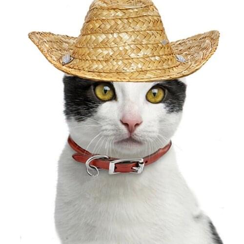 Pet Dog Cat Summer Straw Hat Sun Hats Puppy Supplies Countryside Farmer Hat For Dog Pet Accessories Dogs Cats Caps