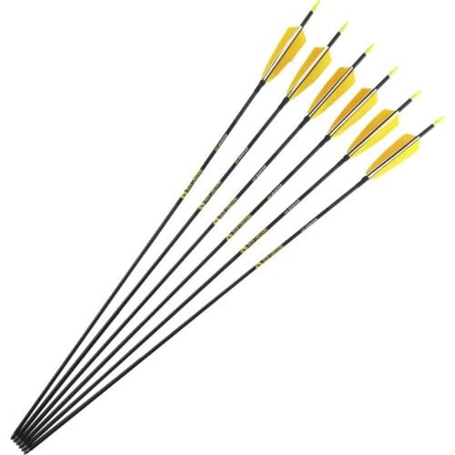 Archery Carbon Arrows Spine 500 600 700 800 900 ID4.2mm 30inch Turkey Feather Vanes Compound Bow Hunting Shooting