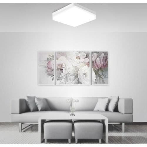 9W 18W 24W 36W Modern Surface Mount fixture Ultra lighting Wram Bedroom Cold White Living Room LED Ceiling Light decorative lamp