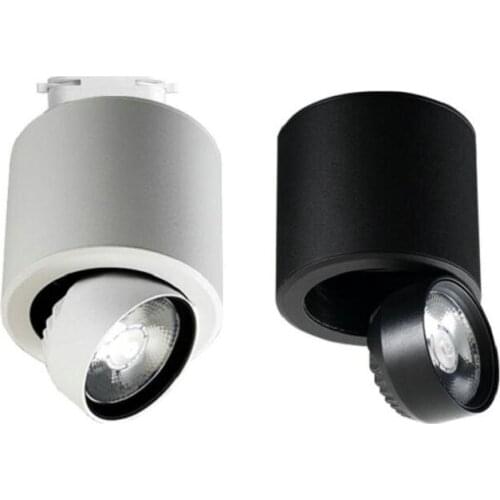 Up and down telescoping 10W 12W COB LED Downlight 220V 110V dimmable LED Bulb Bedroom Kitchen Indoor LED Spot Lighting