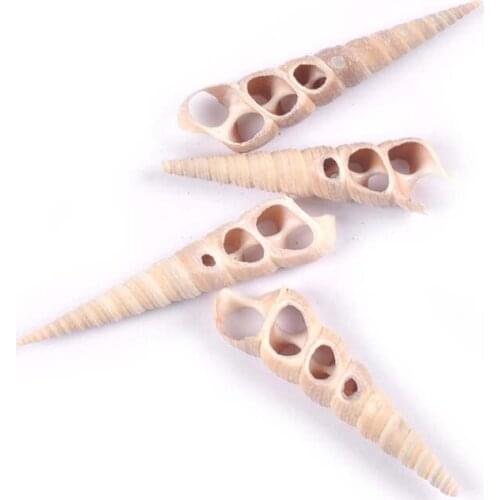 4pcs 50-70mm Natural Trilateral Conch Hollow Shells Making Jewelry Seashell For DIY Beach Crafts Handmade Home Decoration tr0369