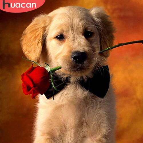 HUACAN Full Square/Round Diamond Painting 5d Dog Rose Handicraft DIY Diamond Embroidery Animal Mosaic Pictures Wall Art