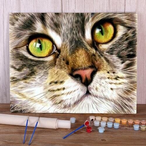 Cat Animal Coloring By Numbers Painting Complete Kit Oil Paints 40*50 Oil Painting Loft Picture Adults Handiwork Drawing