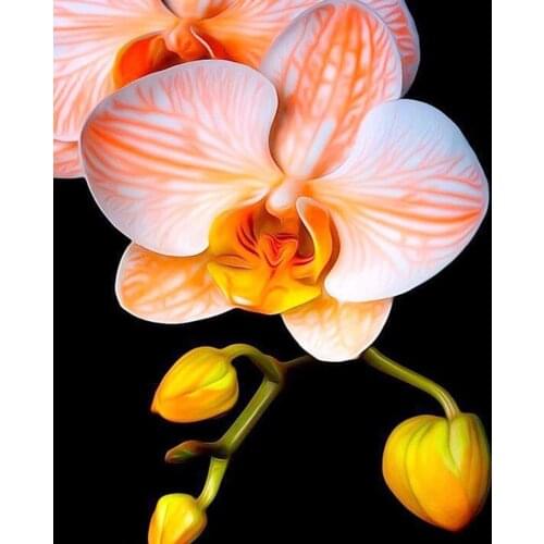 5D Diy Diamond Painting Cross Stitch Full Diamond Embroidery flower5d Diamond Mosaic Pattern Rhinestone Pasted Needlework Resin