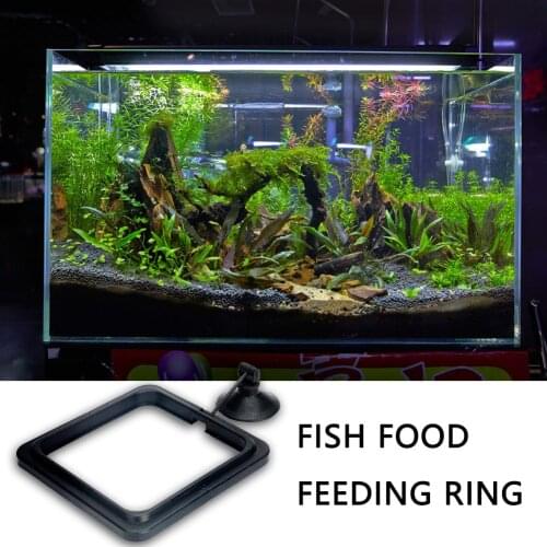 Fish Feeding Aquarium Ring Feeder Floating Food Water Plant Buoyancy Circle Water Plant Buoyancy Suction Cup Dropshipping