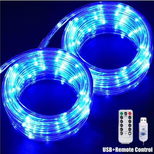USB Powered LED Strip Lights Rope Fairy String Lights Garden Tube Lighting Strings with Remote Control Outdoor Indoor Decoration