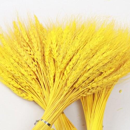 50pcs Wheat Ear Home Decor Atificial Flower Centerpiece Dried Plant Room Decoration Outdoor Garden Wall Decor Wedding MothersDay