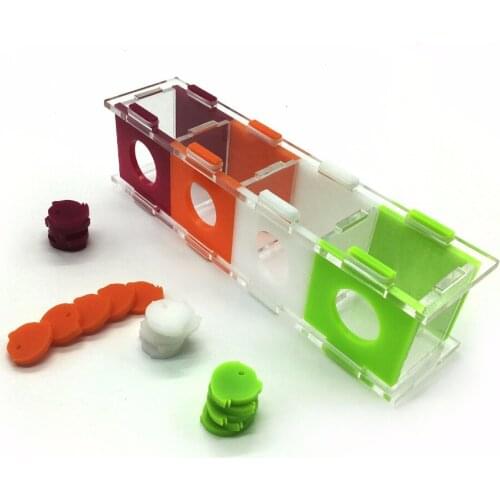 Traumdeutung Birds Toys Parrot Intelligence Training Color Separation Educational Toys Random Color giochi per pappagalli oiseau