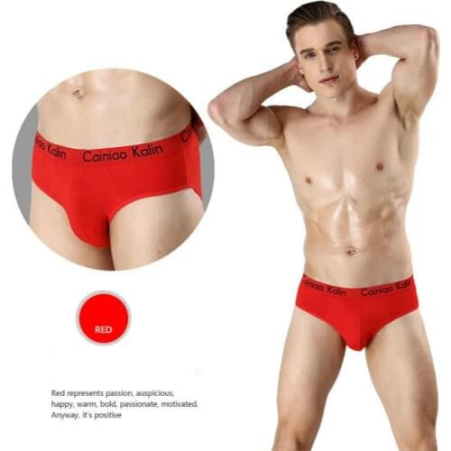 New Sexy Men Underwear Men Briefs Mesh Underpants Gentle Man Mens Briefs Breathable Men Brief Bikini Under Wear Man Srting Man