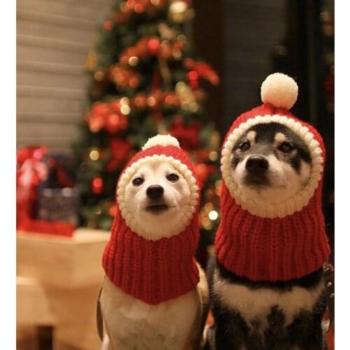 Winter Pet Dog Cap Hat Christmas Warm Small Cat Dog Hats Pug Dog Accessories For Small Medium Large Dogs Man Czapka Dla Psa