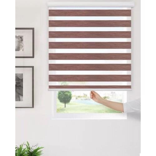 Free-Stop Cordless Zebra Roller Shades Combi Blind Curtain Drape Dual Layer Sheer or Privacy Striped Dove Custom Made Blinds