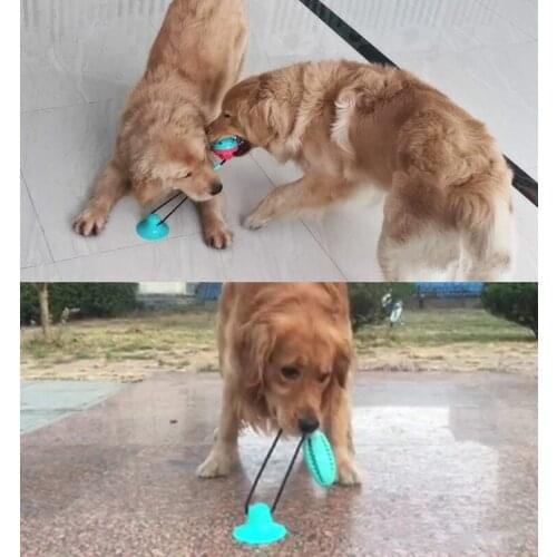 Fashion Dog Chew Toys Sucked Floor Dog Self-Palying Teeth Cleaning Toy Pet Supplies