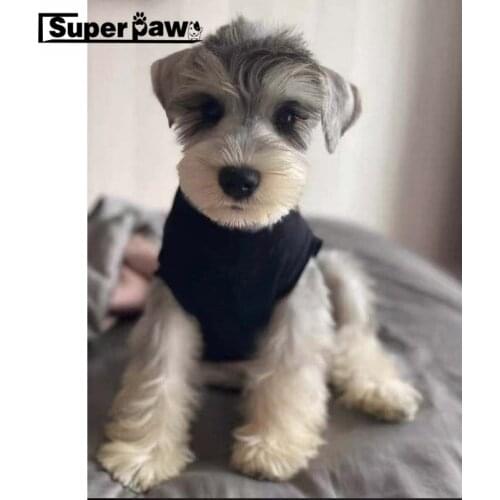 Pet Dog Spring Summer Vest T-shirt Clothes For Small Medium Dogs Schnauzer Pomeranian Pug French Bulldog Corgi LYC23