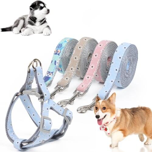 Puppy Dog Accessories Daisy Leash Dog Cat Go Out Civilized Leash New Teddy French Bulldog Pet Chest And Back Set