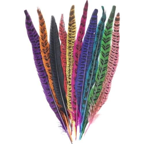10Pcs/Lot Pheasant Tail Feathers 25-30CM/10-12inches Natural Chicken Dyed Feathers for Crafts DIY Wedding Decorations Plumes
