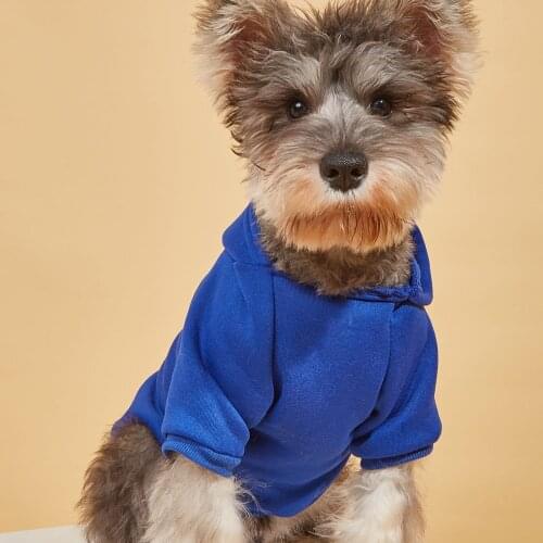 Pet vest pet clothing cat dog shirt cute fashion pet T-shirt small and medium-sized dogs suitable for autumn and winter