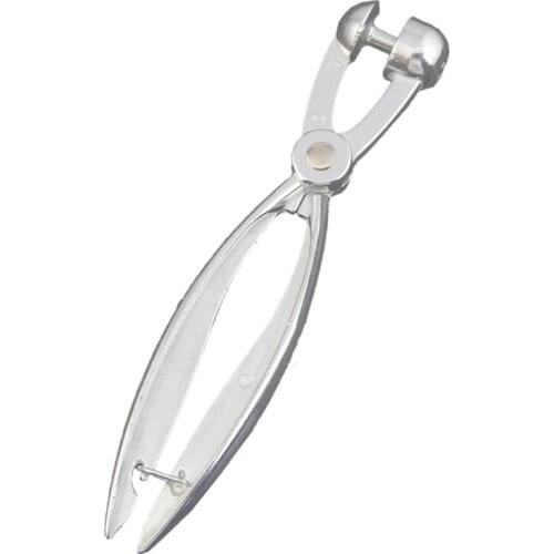 Silver Aluminum Cherry Pitter Red Dates Olives Pit Easy Removal Core Squeeze Clamp Seeder 18*3.5cm(Silver) CNIM Hot