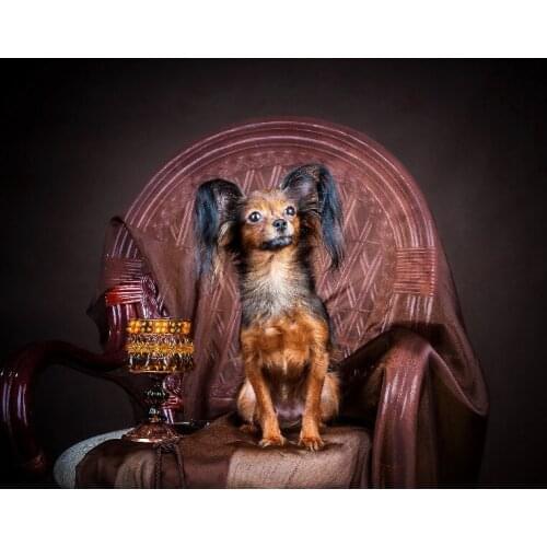 2017 New arrival living room bedroom decoration printed on canvas wedding decoration Dogs Russian toy terrier Armchair Animals