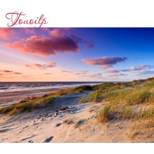 TOUOILP Full Square/Round Drill 5d DIY Diamond Painting" Duinen "Embroidery Cross Stitch Mosaic Home Decor Gift