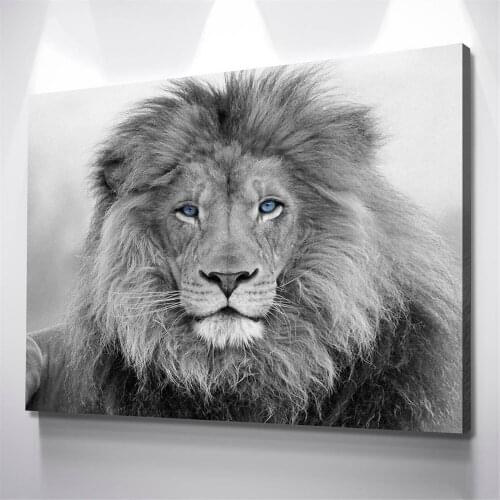 Black and White Blue Eyed Lion Canvas Wall Art Painting Prints Poster Picture for Living Room Bedroom Home Decor